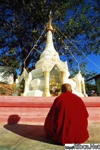 gallery_175_59137.jpg