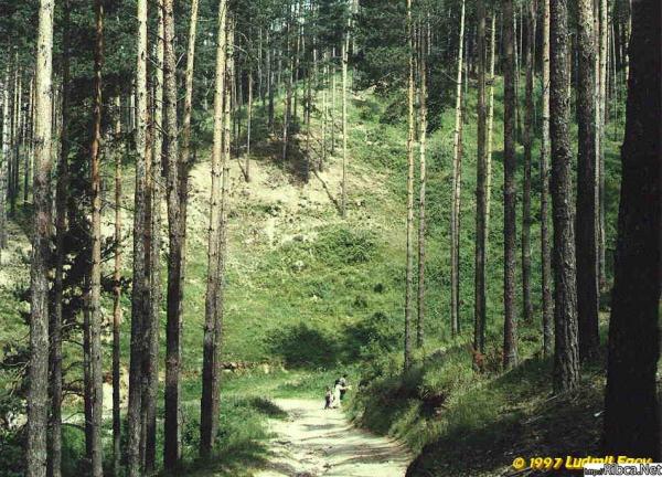 http://forum.ribca.net/ibf_new/uploads/1210071633/med_gallery_232_14456.jpg