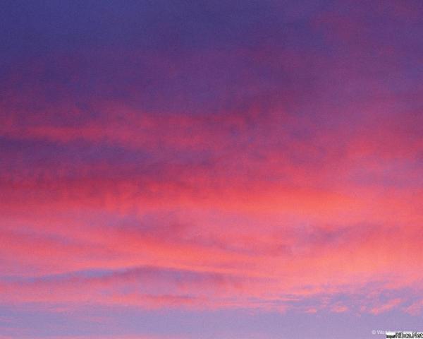 gallery_237_29050.jpg